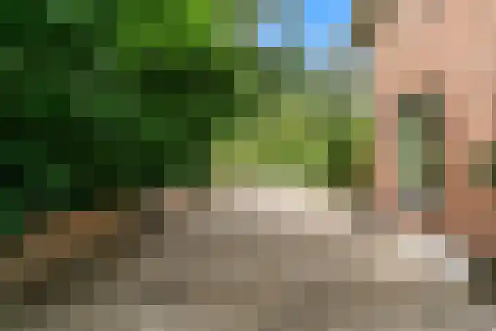 Beets 78 Beets thumbnail 46
