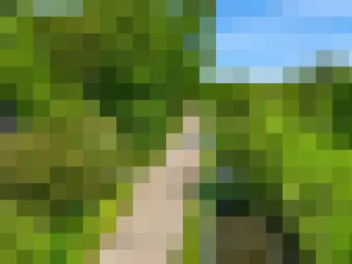Beets 78 Beets thumbnail 47