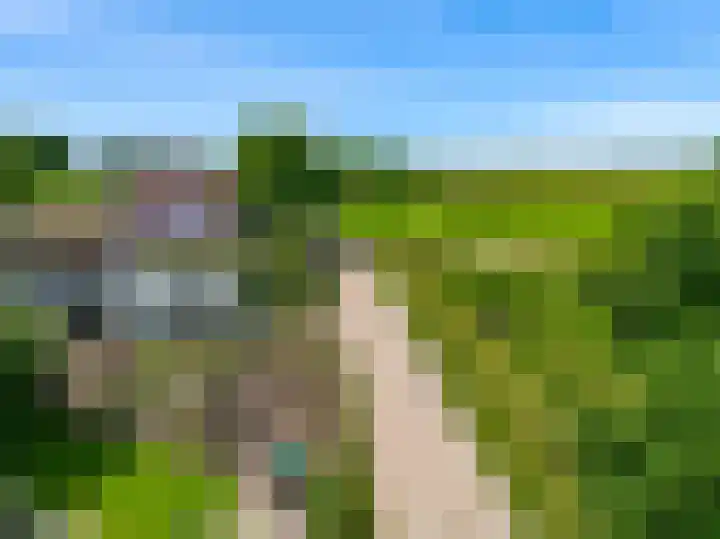 Beets 78 Beets thumbnail 48