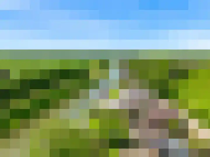 Beets 78 Beets thumbnail 49