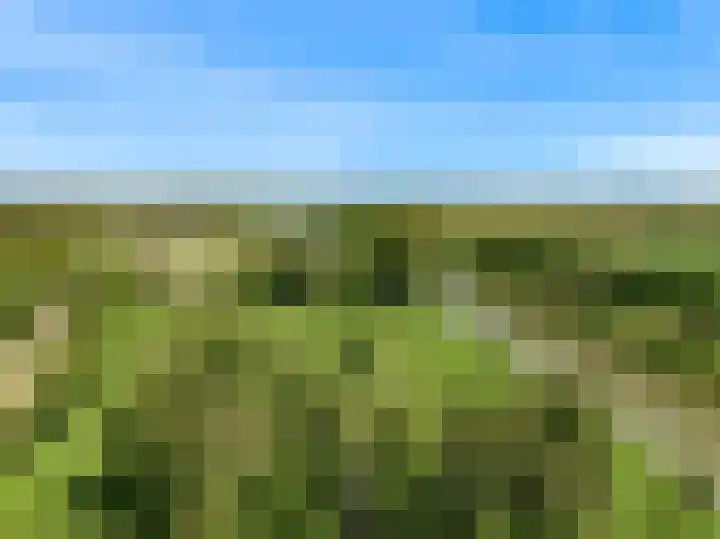 Beets 78 Beets thumbnail 50