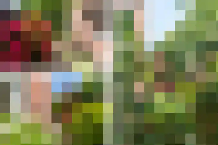 Beetslaan 3 Rijswijk thumbnail 16