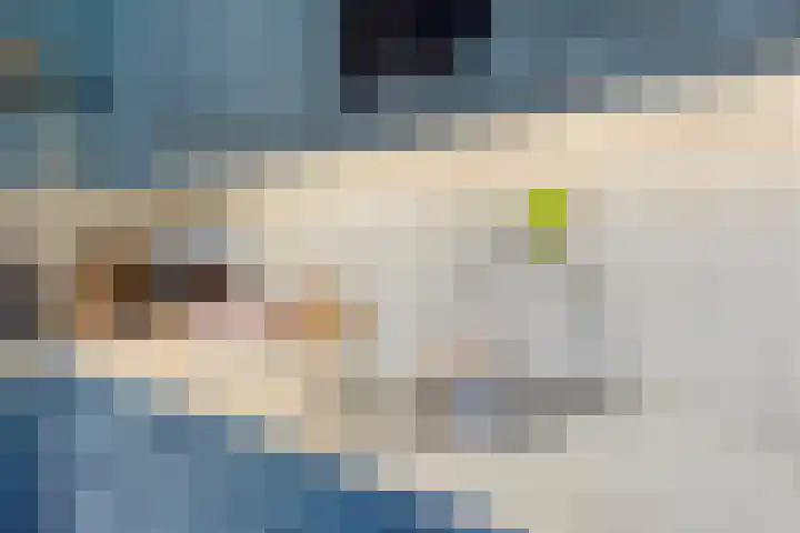 Beezepool 87 Eijsden thumbnail 11