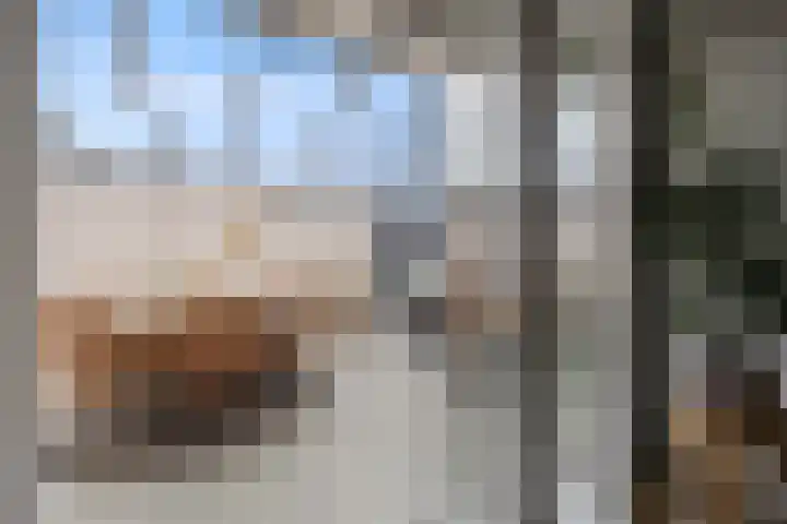 Begijnenkamp 49 Elst thumbnail 19