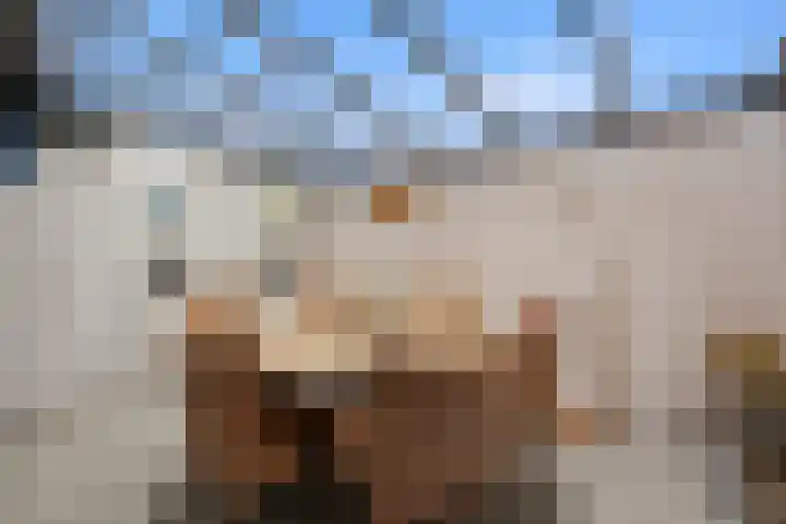 Begijnenkamp 49 Elst thumbnail 20