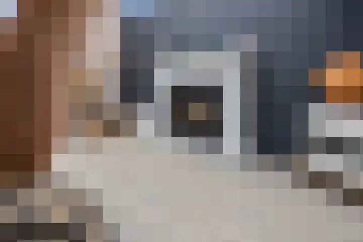 Begijnenkamp 49 Elst thumbnail 22