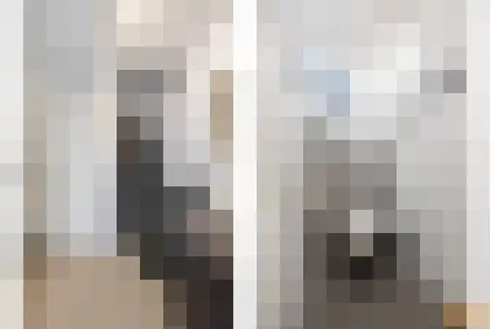 Begijnenkamp 49 Elst thumbnail 25