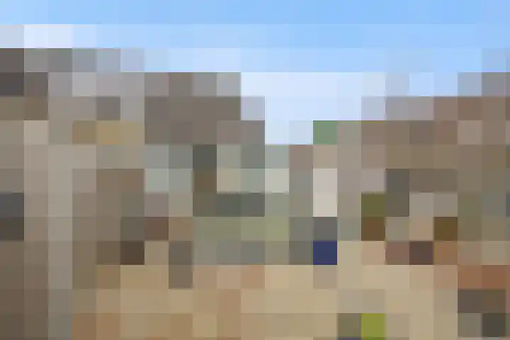 Begijnenkamp 49 Elst thumbnail 4