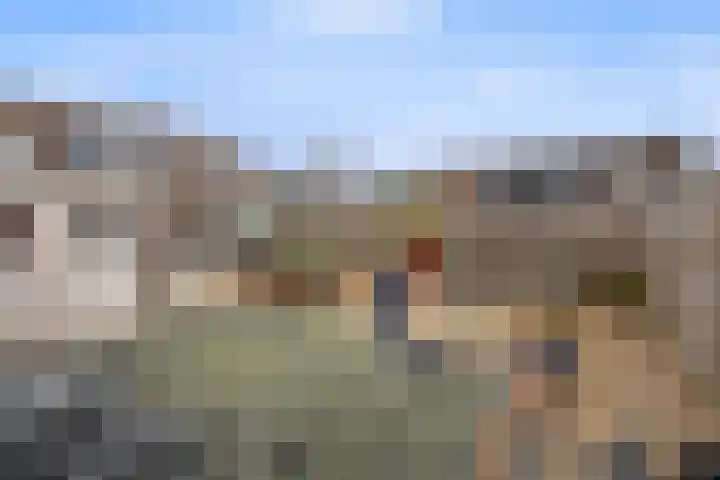 Begijnenkamp 49 Elst thumbnail 42