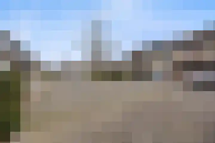 Begijnenkamp 49 Elst thumbnail 49