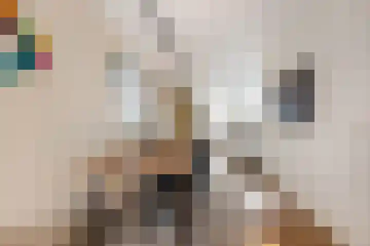Begijnhof 6 Haarlem thumbnail 10