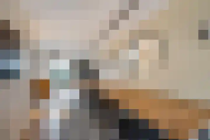 Begijnhof 6 Haarlem thumbnail 11