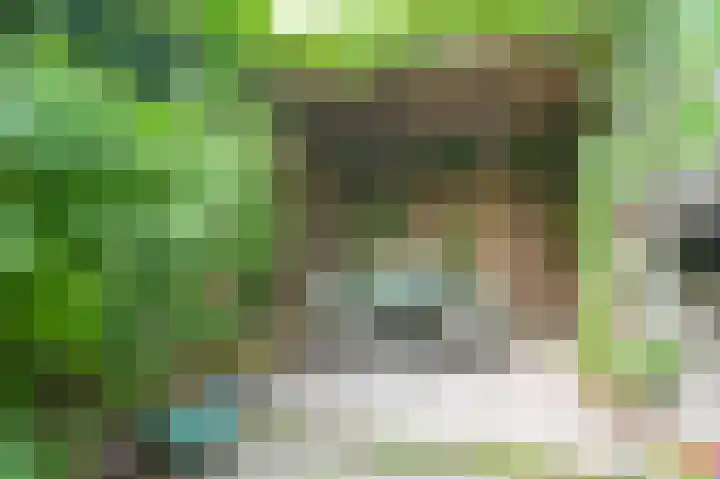 Begijnhof 6 Haarlem thumbnail 17