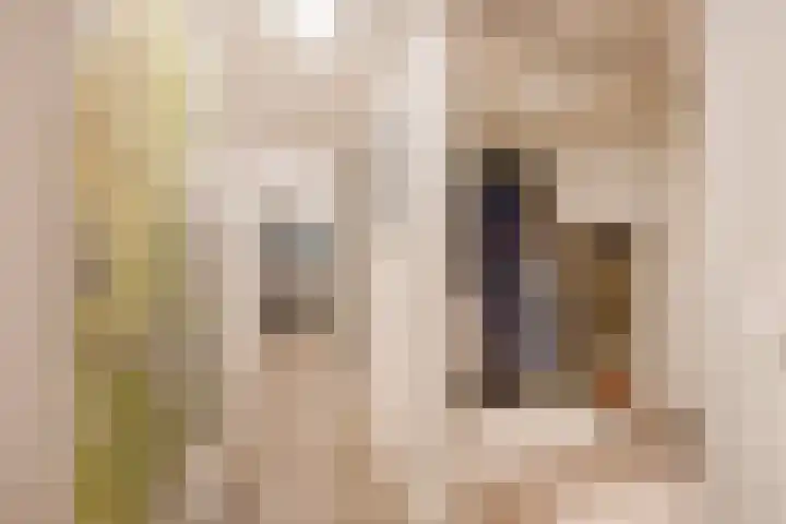 Begijnhof 6 Haarlem thumbnail 19