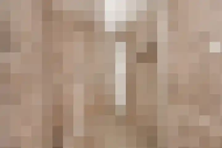 Begijnhof 6 Haarlem thumbnail 23