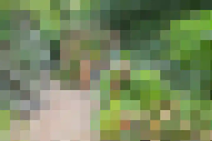 Begijnhof 6 Haarlem thumbnail 36
