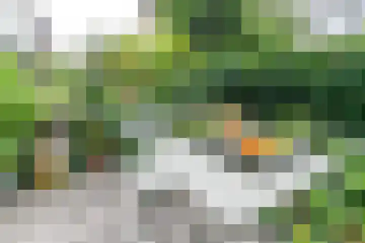Begijnhof 6 Haarlem thumbnail 37