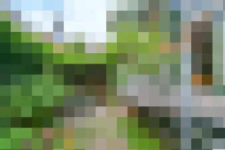 Begijnhof 6 Haarlem thumbnail 38