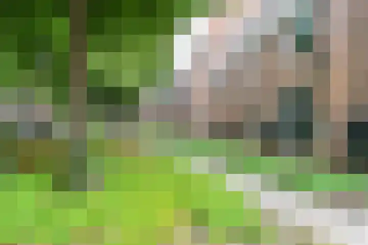 Begijnhof 6 Haarlem thumbnail 44