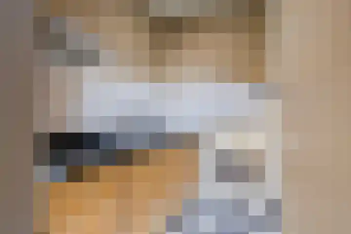 Begijnhof 76 Leiden thumbnail 24