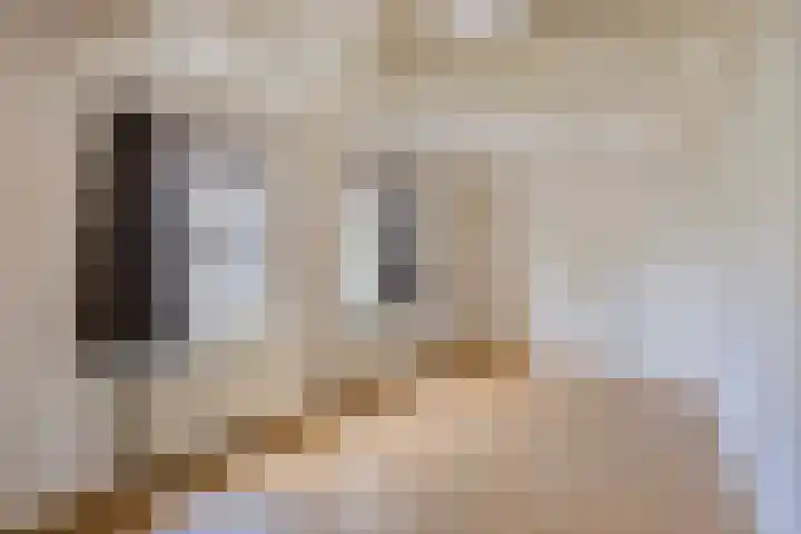 Begijnhof 76 Leiden thumbnail 27