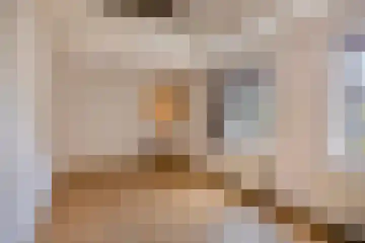 Begijnhof 76 Leiden thumbnail 28