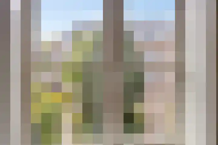 Begijnhof 76 Leiden thumbnail 29