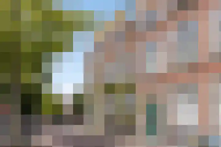 Begijnhof 76 Leiden thumbnail 30