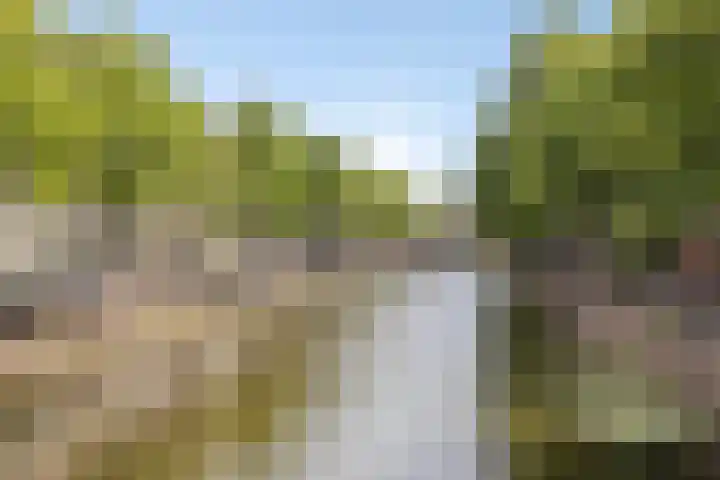Begijnhof 76 Leiden thumbnail 33