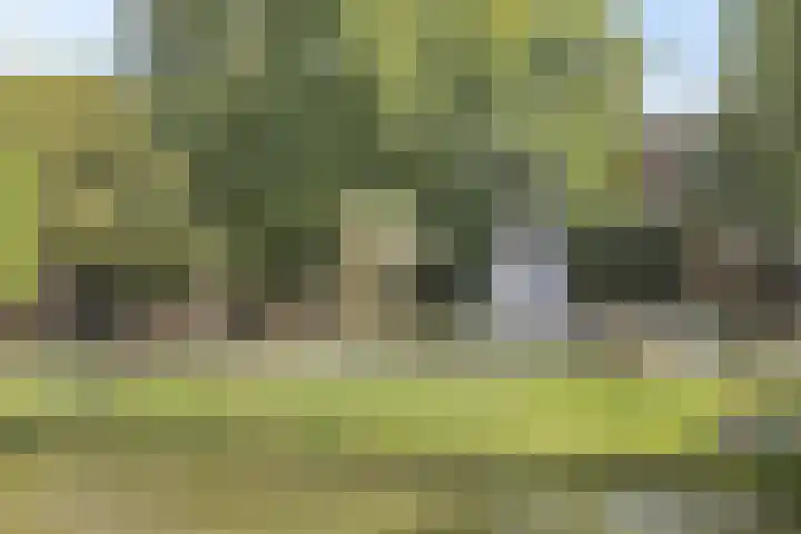 Begijnhof 76 Leiden thumbnail 35