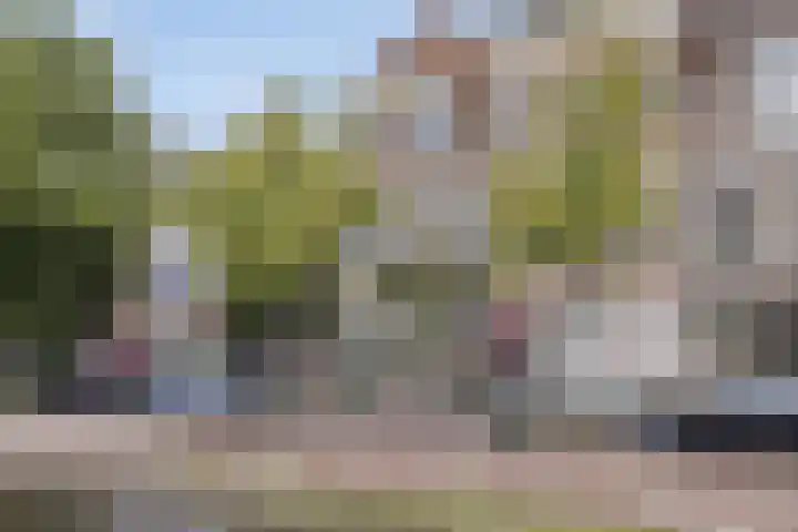 Begijnhof 76 Leiden thumbnail 43