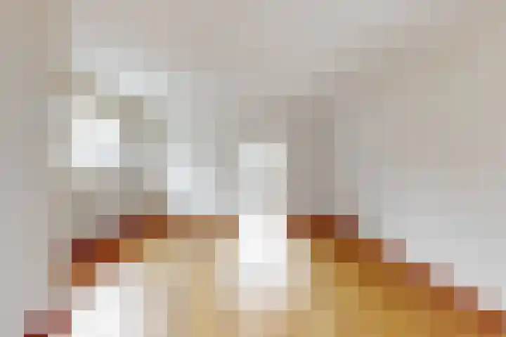 Begoniasingel 66 Geleen thumbnail 10