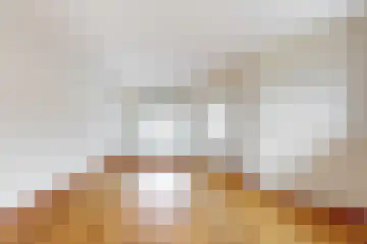 Begoniasingel 66 Geleen thumbnail 12