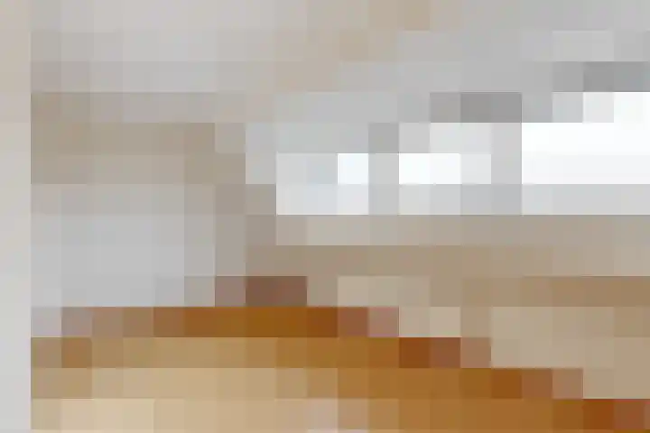 Begoniasingel 66 Geleen thumbnail 18
