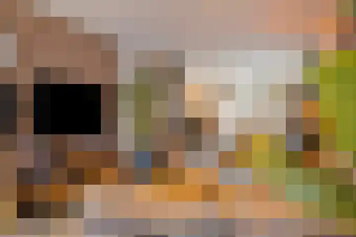 Begoniasingel 82 Geleen thumbnail 12