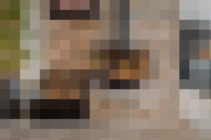 Begoniasingel 82 Geleen thumbnail 20