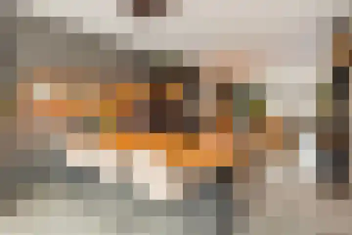 Begoniasingel 82 Geleen thumbnail 23