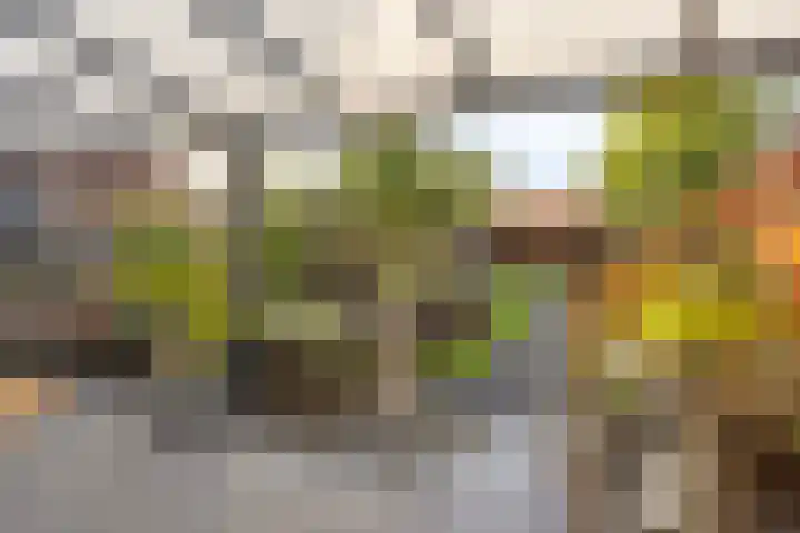 Begoniasingel 82 Geleen thumbnail 4