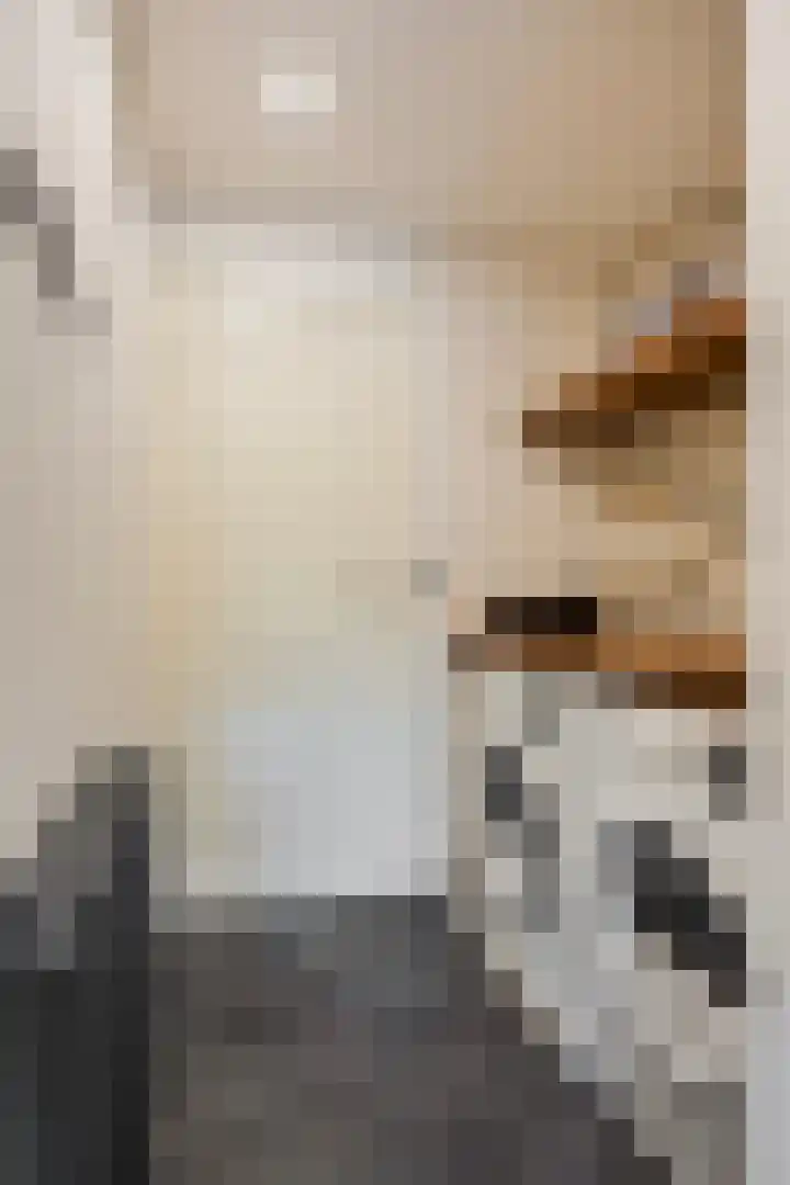 Begoniasingel 82 Geleen thumbnail 40