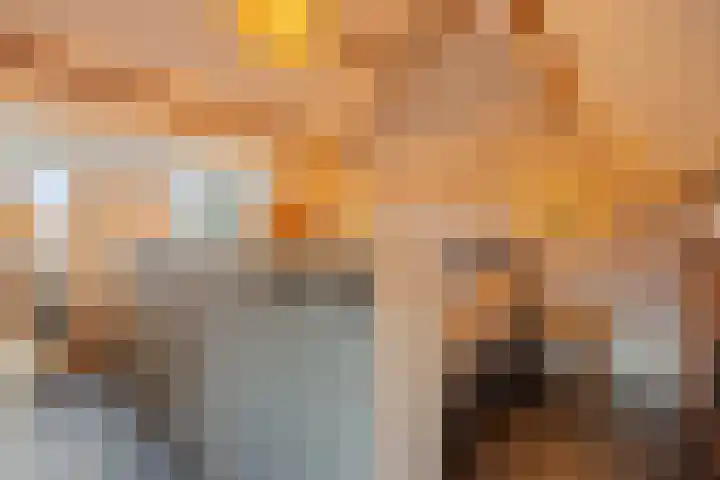 Begoniasingel 82 Geleen thumbnail 47