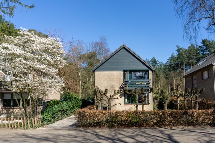 Begoniastraat 29 in Putte foto