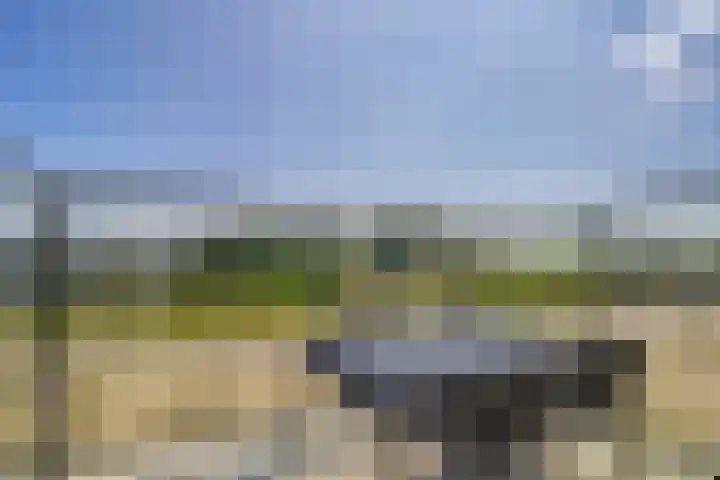 Begoniatuin 287 Pijnacker thumbnail 11
