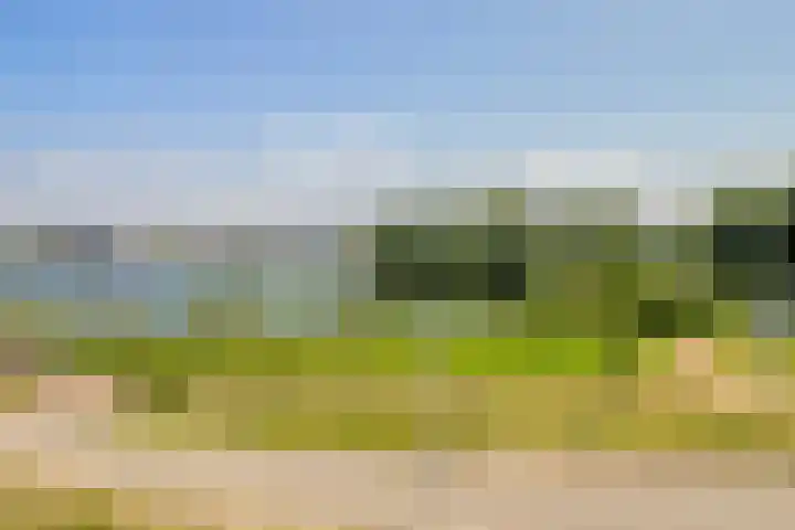 Begoniatuin 287 Pijnacker thumbnail 13
