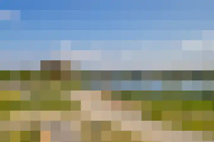 Begoniatuin 287 Pijnacker thumbnail 14