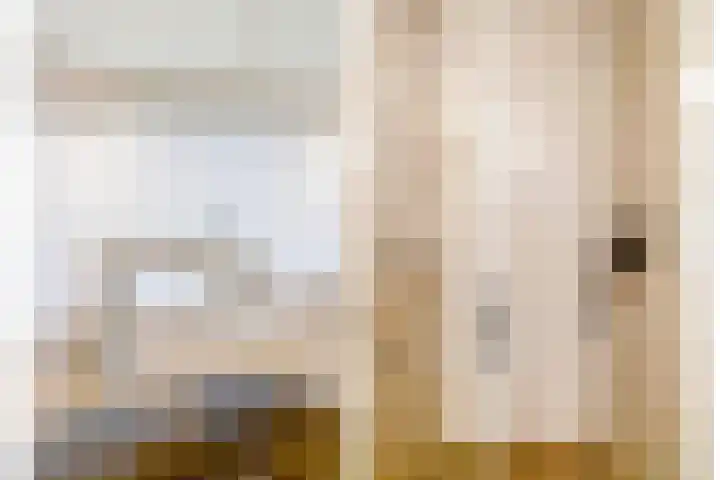 Begoniatuin 287 Pijnacker thumbnail 15