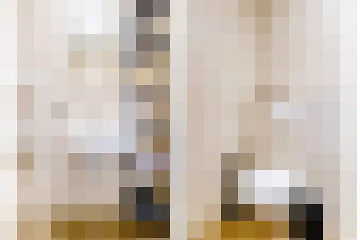 Begoniatuin 287 Pijnacker thumbnail 18