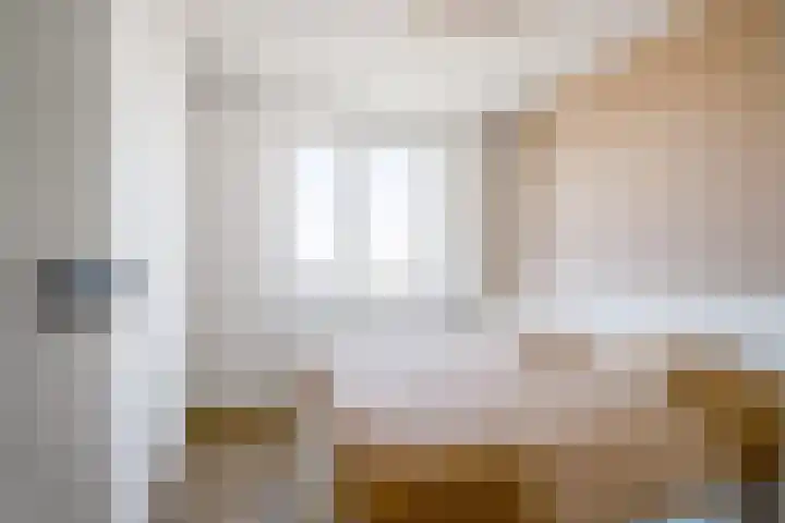 Begoniatuin 287 Pijnacker thumbnail 19