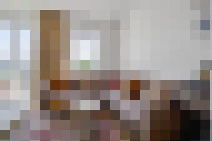 Begoniatuin 287 Pijnacker foto 2