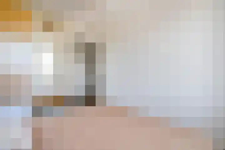 Begoniatuin 287 Pijnacker thumbnail 21