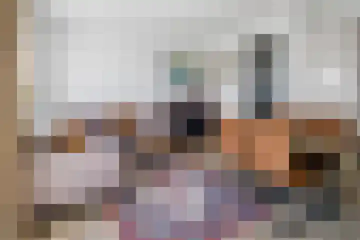 Begoniatuin 287 Pijnacker foto 3